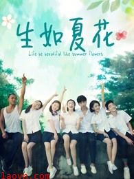 生如夏花