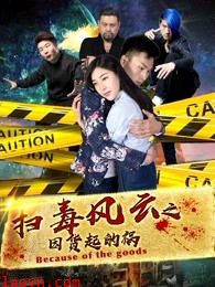 扫毒风云之因货起的祸