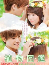 植物图鉴