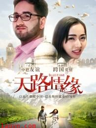 天路情缘