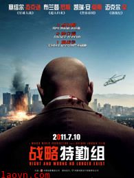 战略特勤组(2010)