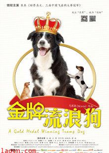 金牌流浪狗