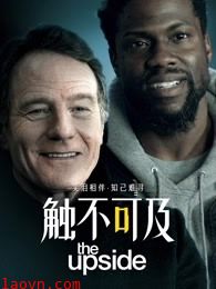 触不可及（美版）