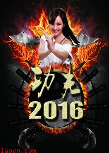 功夫2016