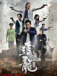 追龙2:追缉大富豪