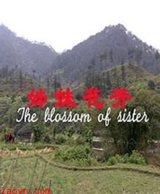 姊妹花开