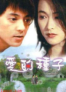爱的种子