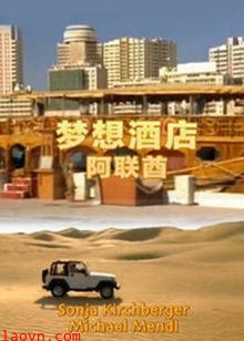 梦想酒店:阿联酋