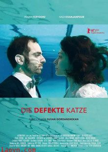 一只功能失调的猫