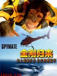 金刚归来(普通话)