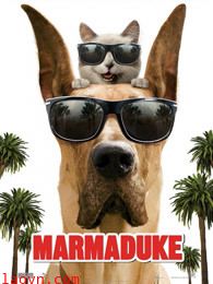 大丹麦狗马默杜克