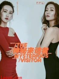 神秘来访者