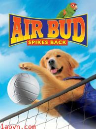 飞狗巴迪5：排球健将