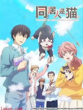 同居人是猫