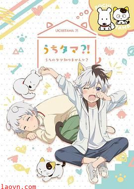 家有圆圆?!我家的圆圆你知道吗?