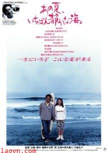 那年夏天,宁静的海