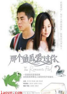 那个傻瓜爱过你