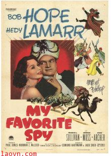 我最中意的间谍