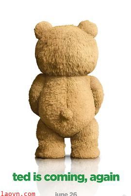 泰迪熊2