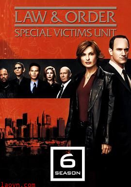 法律与秩序:特殊受害者第六季