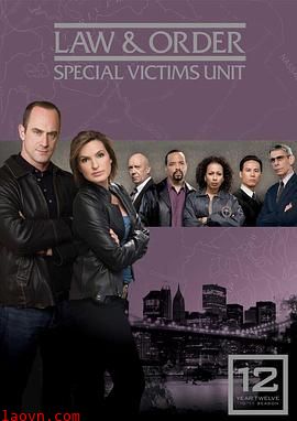 法律与秩序:特殊受害者第十二季