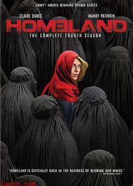 国土安全第四季