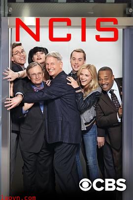 海军罪案调查处第十四季