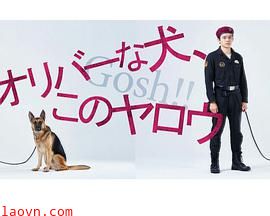 奥莉佛是狗，（天哪！！）这家伙