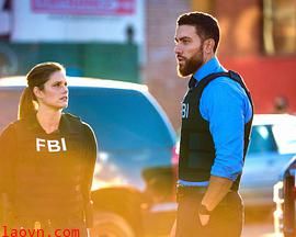 联邦调查局第四季