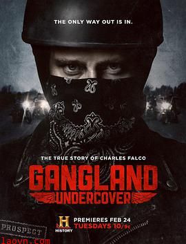 黑帮卧底第一季