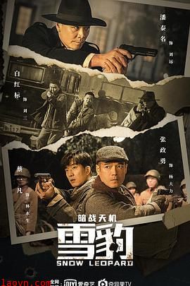 雪豹之暗战天机