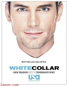 妙警贼探第五季