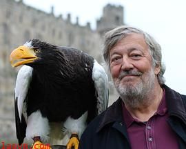 神奇动物：自然历史