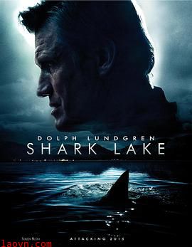 鲨鱼湖泊