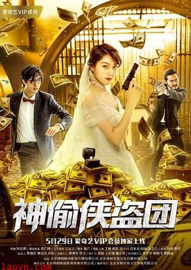 神偷侠盗团