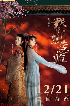 我的丫鬟是总监