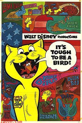 做一只鸟真不容易