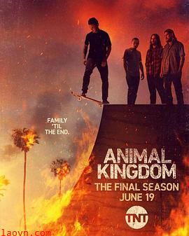 野兽家族第六季