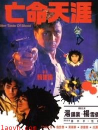 亡命天涯1988