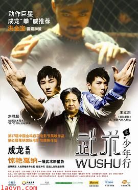 武术之少年行