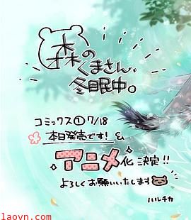 森林里的熊先生、冬眠中。