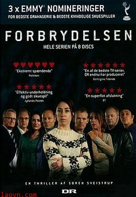 丹麦版谋杀第一季