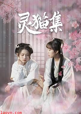 灵猫集