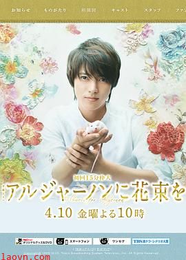 献给阿尔吉侬的花束