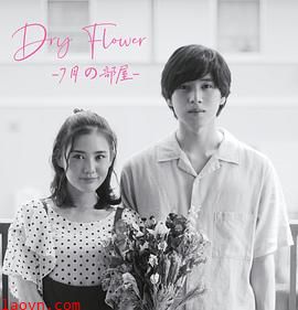 DryFlower-七月的房间-