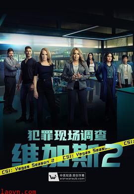 犯罪现场调查:维加斯第二季