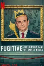 通天大逃犯：汽车大亨戈恩奇案