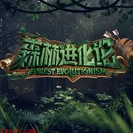 森林进化论