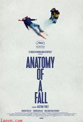 坠楼死亡的剖析