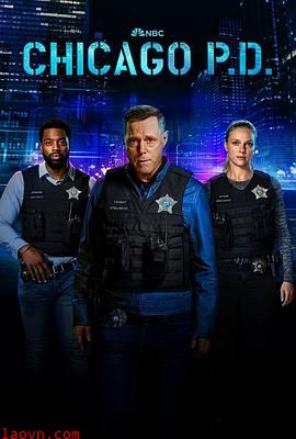 芝加哥警署第十一季